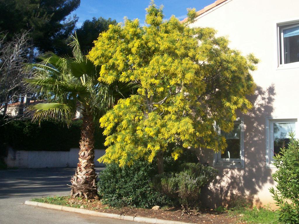 Stars Antibes Hotel Biot Exterior foto